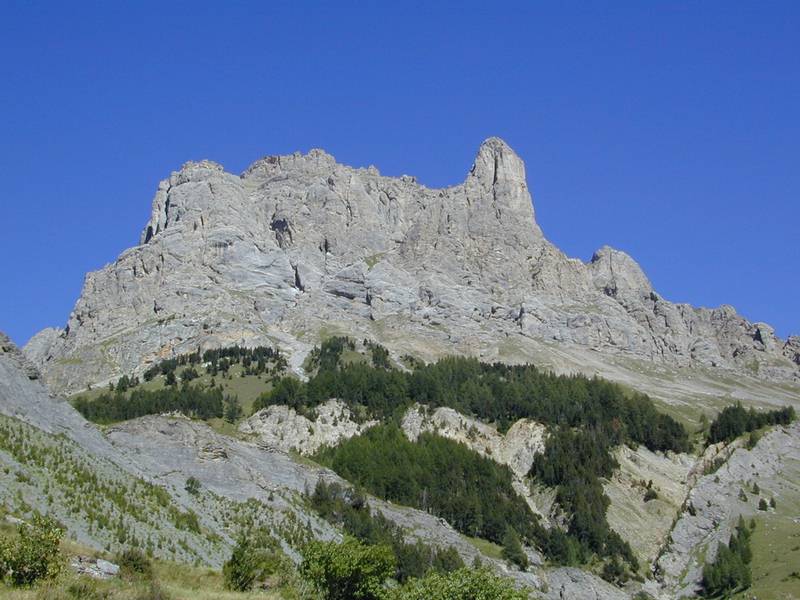 lauzet04.jpg