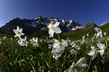 Col du Galibier - commune du Monêtier Les Bains