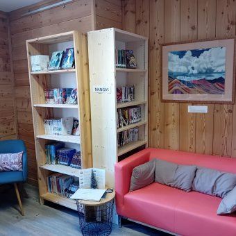 Bibliothèque - Manga