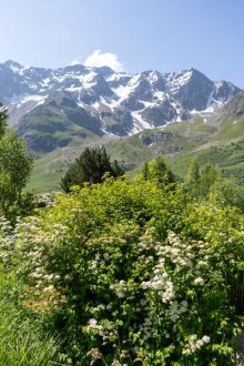 Exposition temporaire du Parc national des Ecrins_Le Monêtier-les-Bains - Col du Lautaret